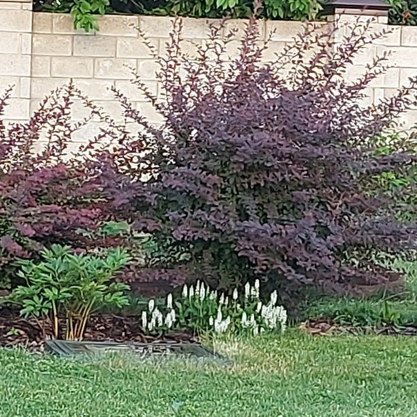 превью изображения отзыва