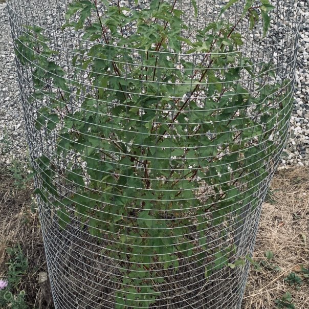 превью изображения отзыва