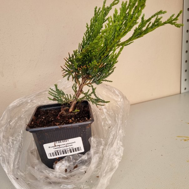 превью изображения отзыва