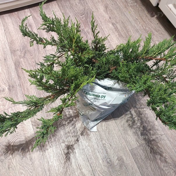 превью изображения отзыва