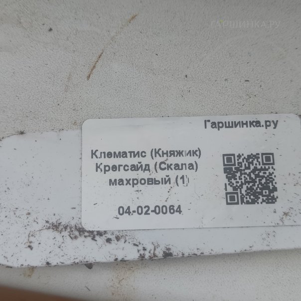 превью изображения отзыва