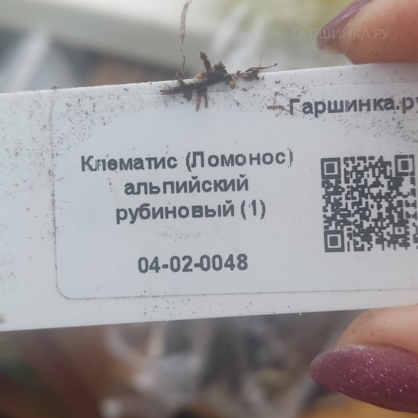 превью изображения отзыва