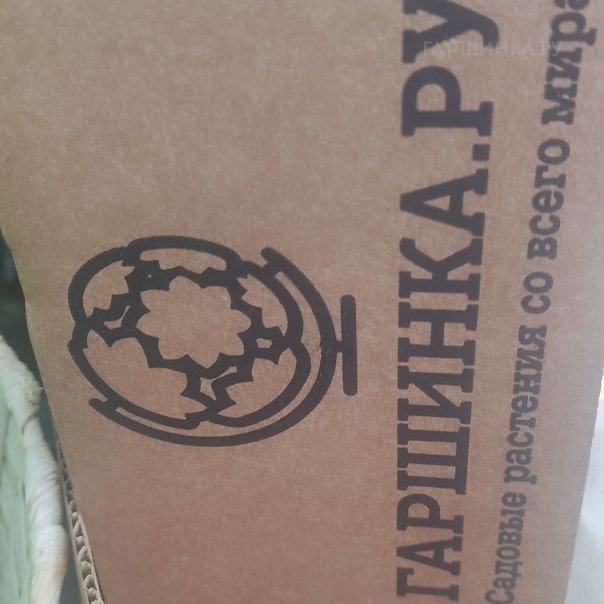 превью изображения отзыва