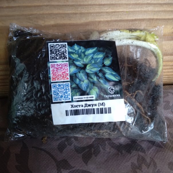 превью изображения отзыва