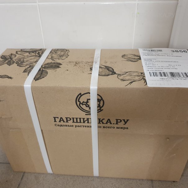 превью изображения отзыва