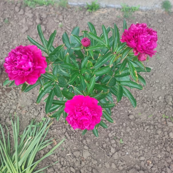 превью изображения отзыва