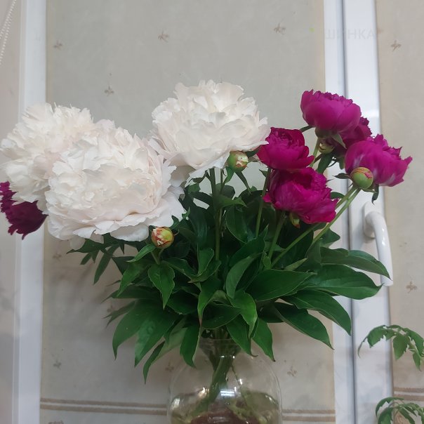 превью изображения отзыва