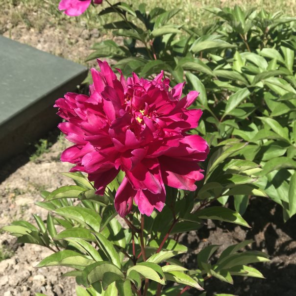 превью изображения отзыва