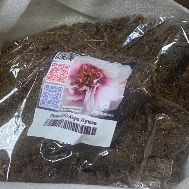 превью изображения отзыва