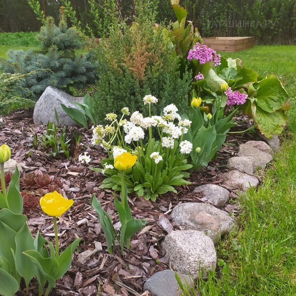 превью изображения отзыва