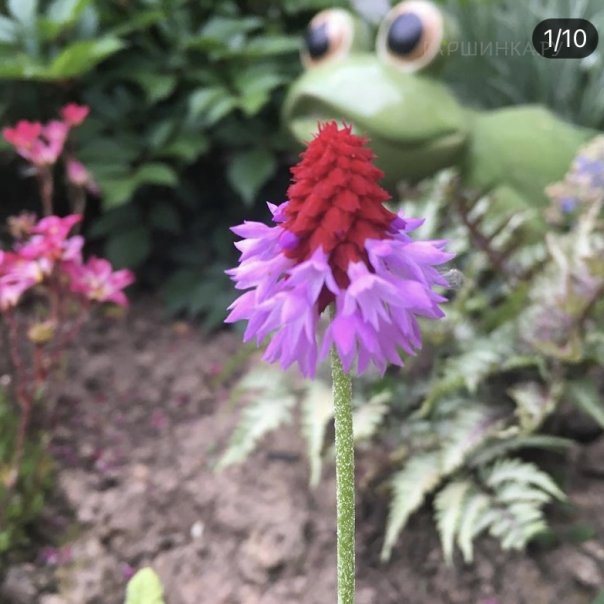 превью изображения отзыва