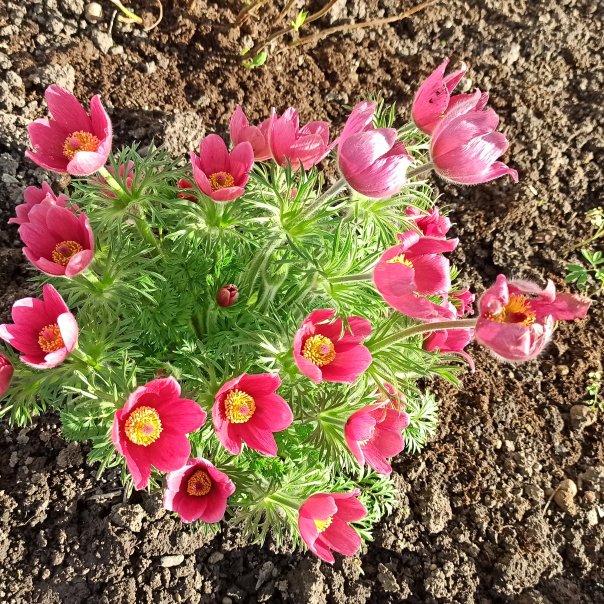 превью изображения отзыва