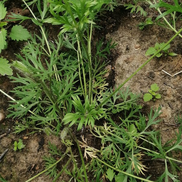 превью изображения отзыва