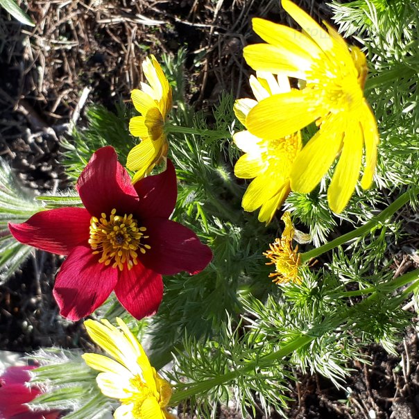 превью изображения отзыва