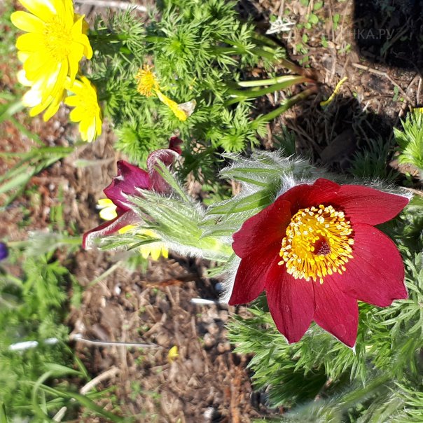 превью изображения отзыва