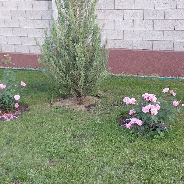 превью изображения отзыва