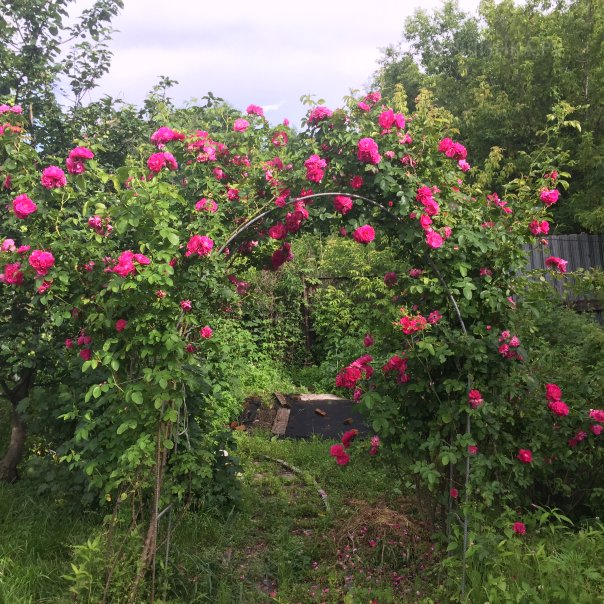 превью изображения отзыва