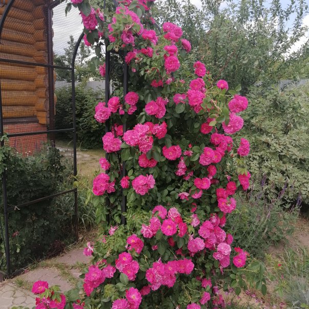 превью изображения отзыва