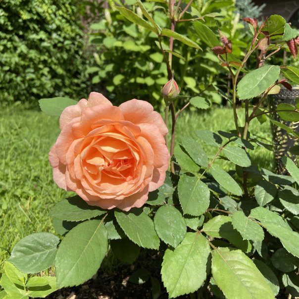 превью изображения отзыва