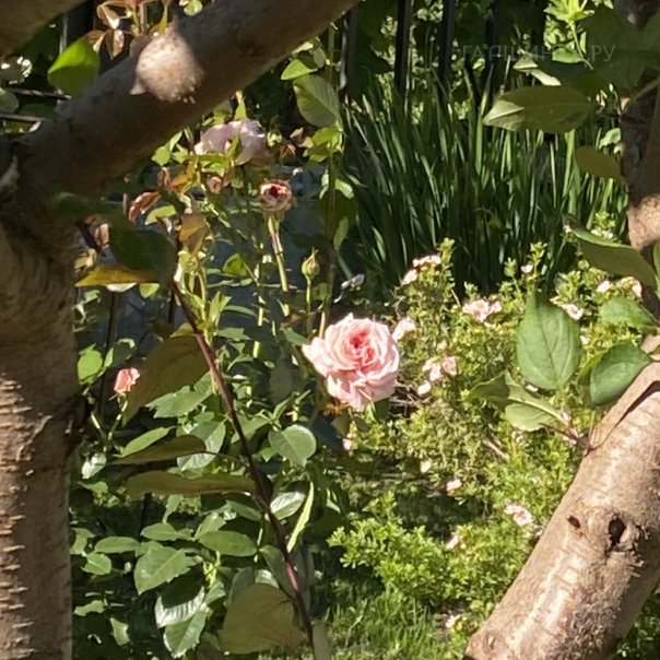 превью изображения отзыва