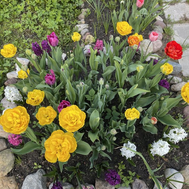 превью изображения отзыва