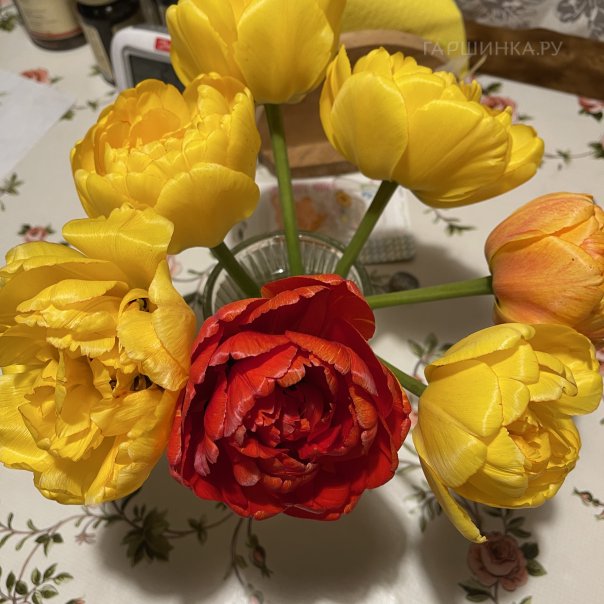 превью изображения отзыва