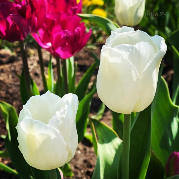 превью изображения отзыва