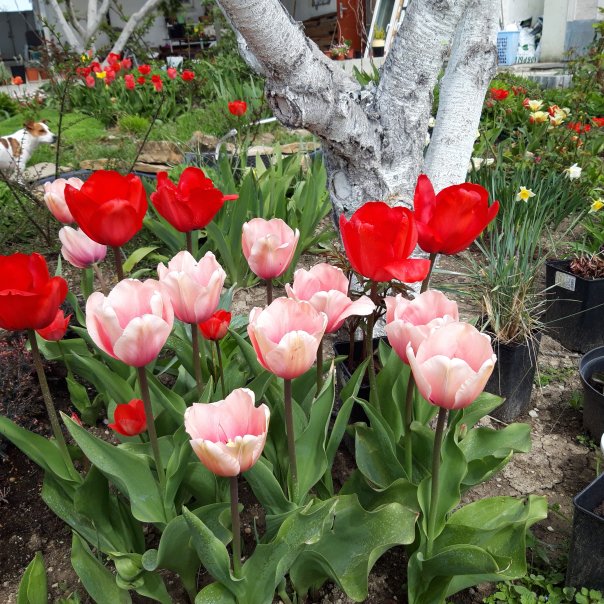 превью изображения отзыва