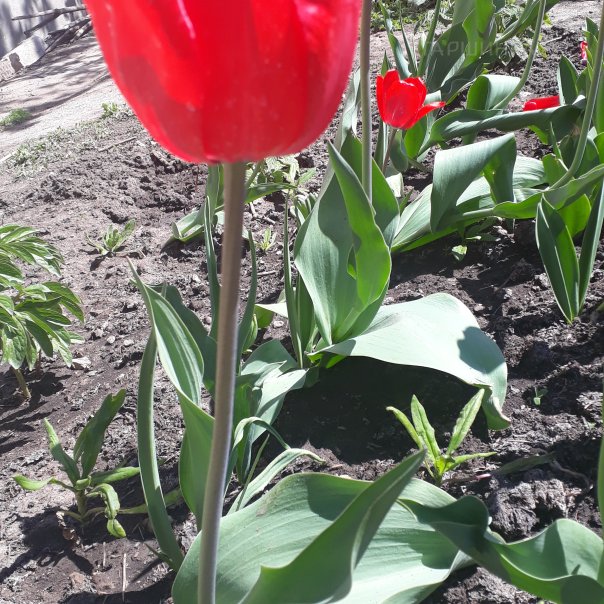 превью изображения отзыва