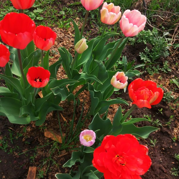 превью изображения отзыва