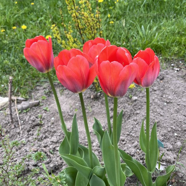 превью изображения отзыва