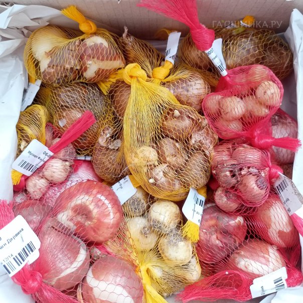 превью изображения отзыва