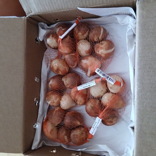 превью изображения отзыва