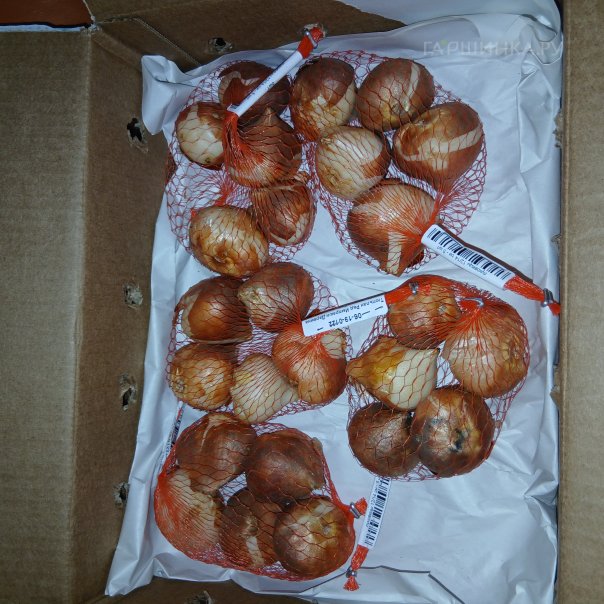 превью изображения отзыва