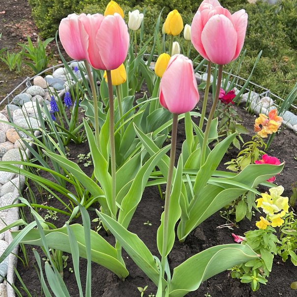 превью изображения отзыва