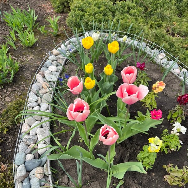 превью изображения отзыва