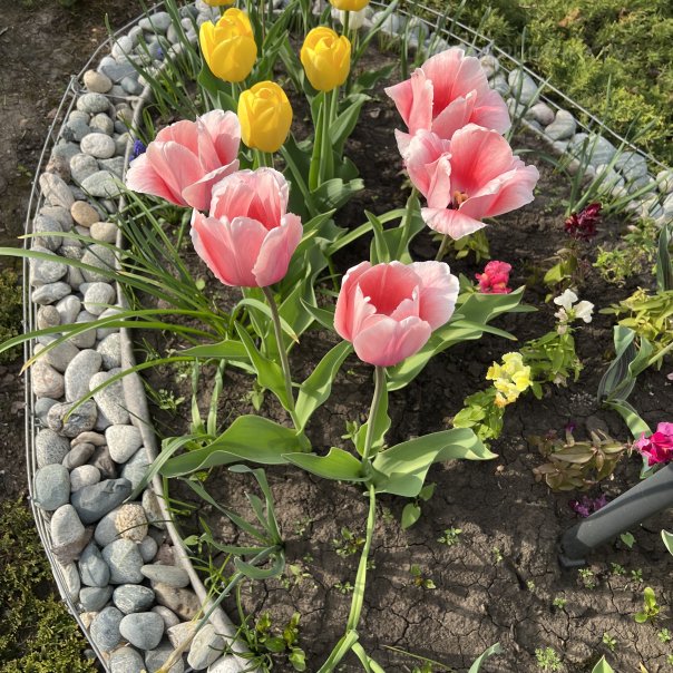 превью изображения отзыва