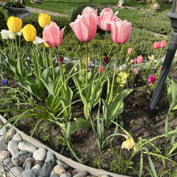 превью изображения отзыва