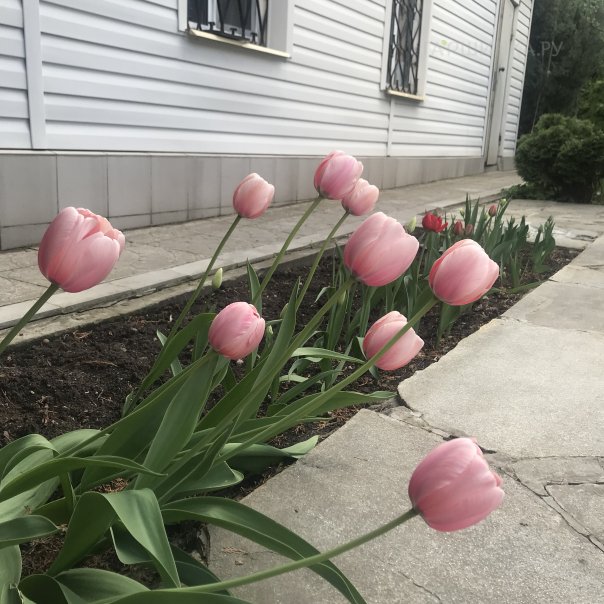 превью изображения отзыва