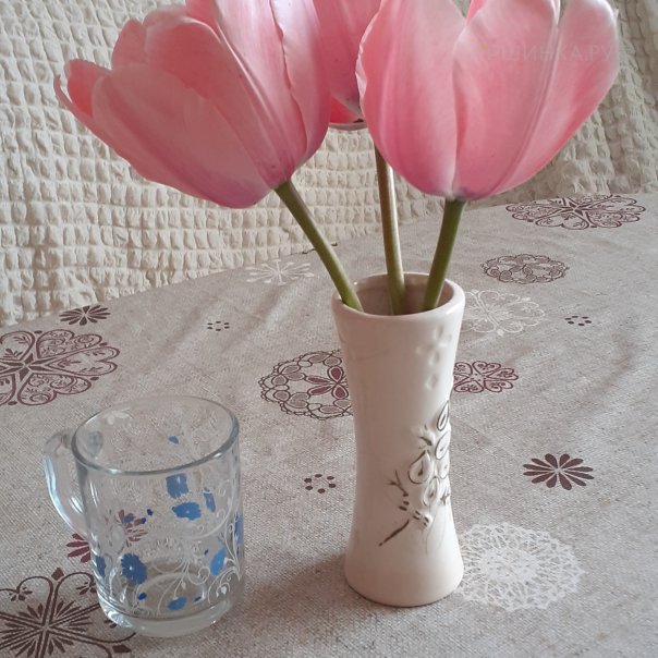 превью изображения отзыва