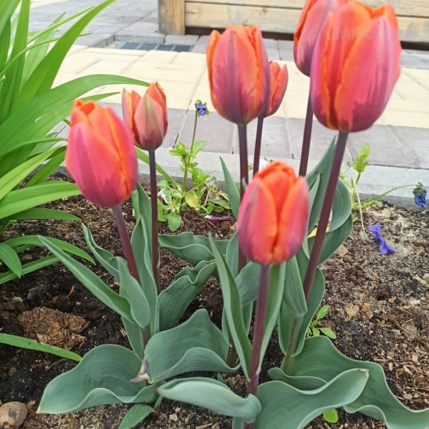 превью изображения отзыва