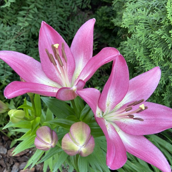 превью изображения отзыва