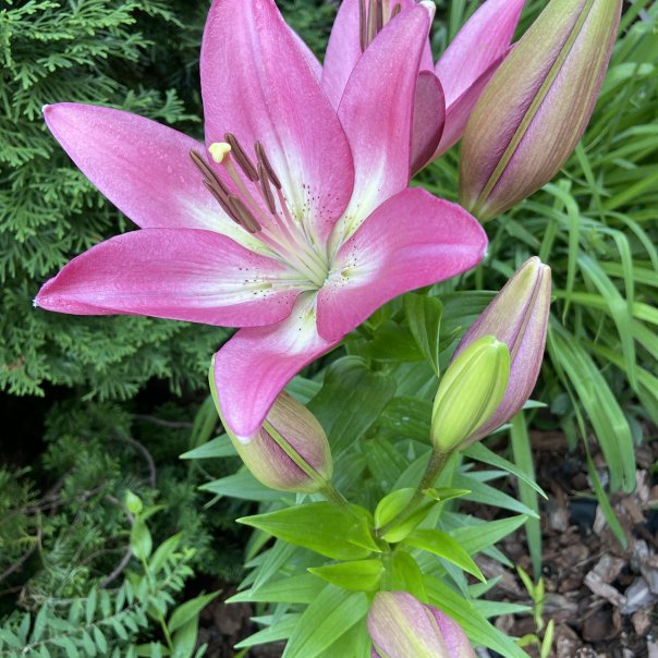 превью изображения отзыва