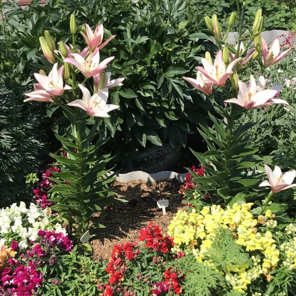 превью изображения отзыва