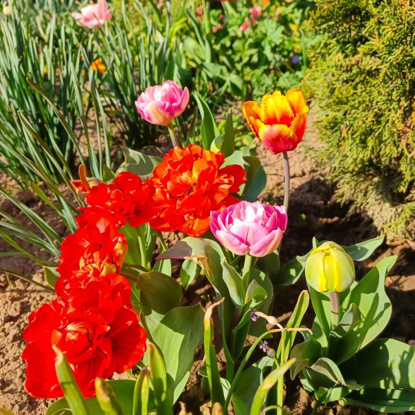 превью изображения отзыва