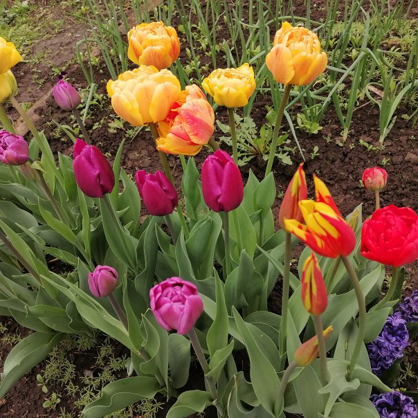 превью изображения отзыва