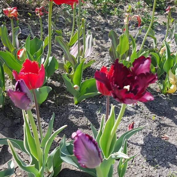 превью изображения отзыва