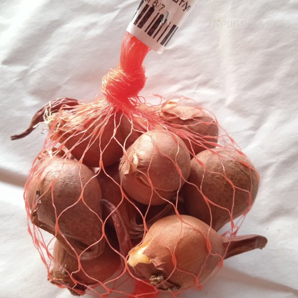 превью изображения отзыва