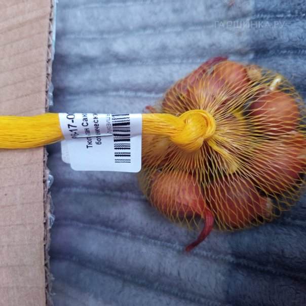 превью изображения отзыва