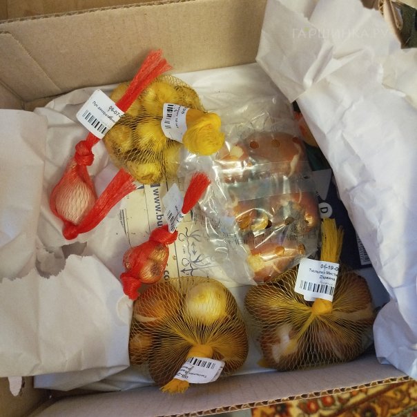 превью изображения отзыва